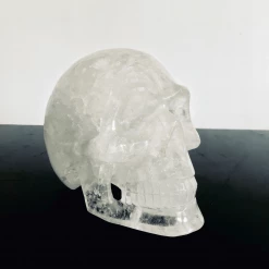 Tuxedo Park Junk Shop Rock Crystal Skull