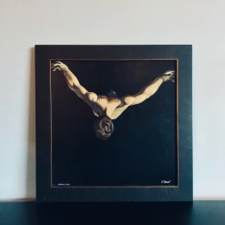 Tuxedo Park Junk Shop Fine Art The Diver