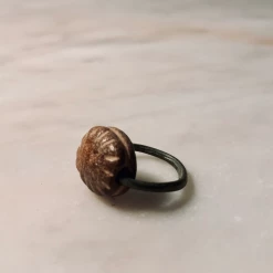 Tuxedo Park Junk Shop Jewelry Egyptian Scaraboid Ring Ca. 943 To 332 BCE
