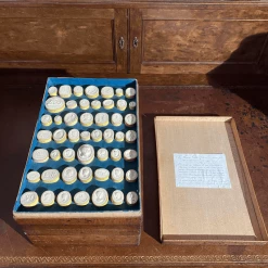 Tuxedo Park Junk Shop Grand Tour Cased Plaster Impronte From Thomas Cade Circa 1830