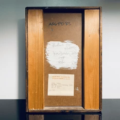 Tuxedo Park Junk Shop Peter Dean Birdman Over Hudson Fine Art