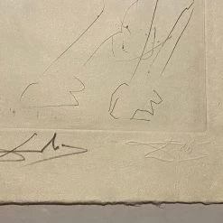 Tuxedo Park Junk Shop Salvador Dali Le Cheval De Picasso New Arrivals